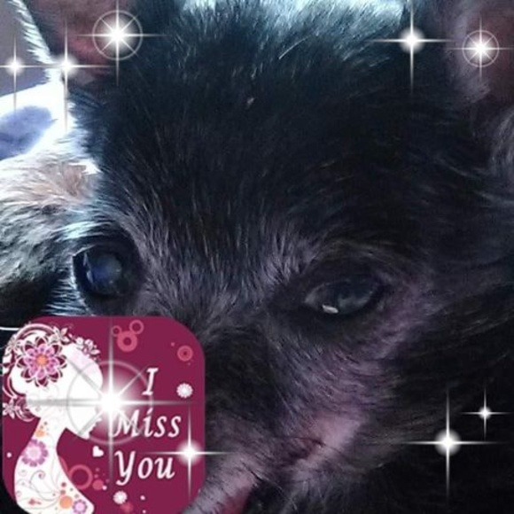 Meet your Posher, Betty - Picture 1 of 1